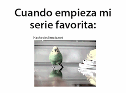 Hache De Silencio