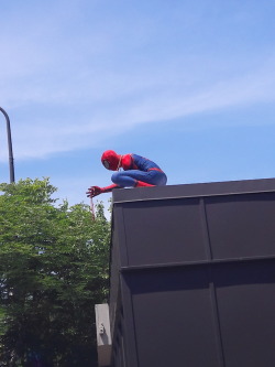 jellybeankitten:  anissapierce:  theforsakencucumber:  Some guy at Chicago Pride (2018) dressed up as Spider-Man and climbed the roof to drop rainbow bead necklaces for people who spotted him.  Two other pictures my friend took from across the street