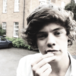  harry "perfect" styles                                                     