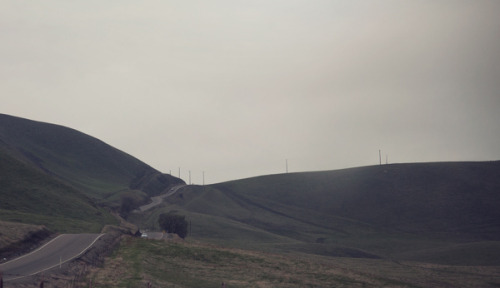 satsumalaroux:     I traveled for one month around California and I swear I saw the most breathtaking landscapes. It was a great experience to explorer new places, to try the local food and to meet new people. I got lucky enough to grab a few stills and