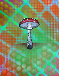 thelookingglassgallery:  &ldquo;Mushroom&rdquo; by Drake Arnold