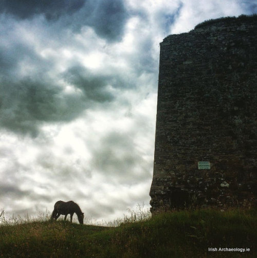 irisharchaeology:    A horse grazing beneath the walls of Minard Castle, Dingle, Co Kerry  Source