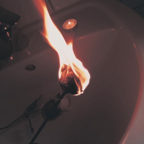 heehoon | play with fire— i like the smell of gasoline. i light the match to taste the heat