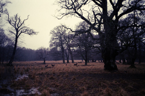 brutalgeneration:  untitled (by Esben Bøg) 