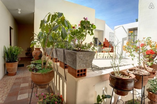 bnbcorners:Arequipa, Peru1 Bedroom, 1 BathroomAccommodates 2$19 a/night