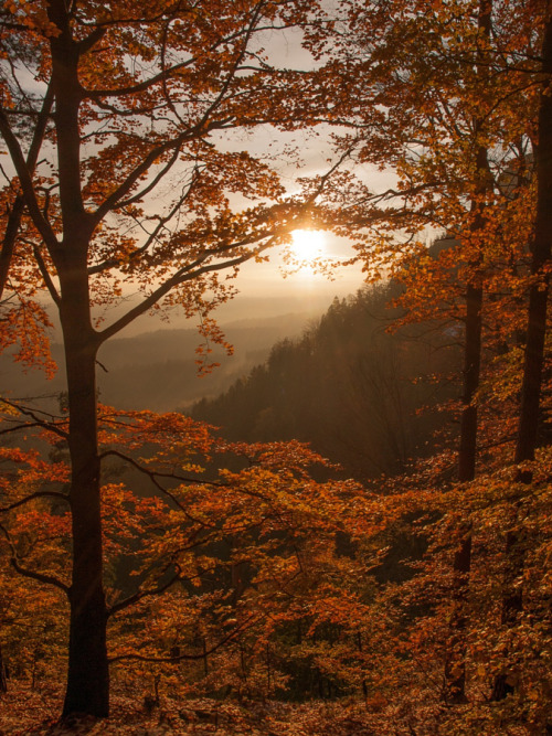 radivs:  Autumn… by BS OD 