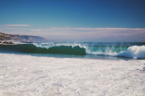 sassafranski:  Massive waves today 