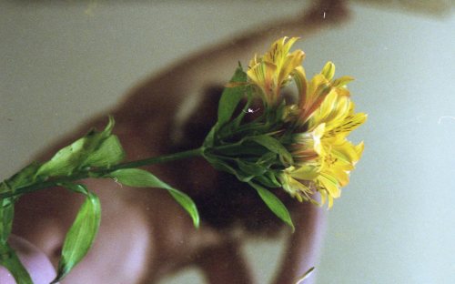 veryspecialporn:  ph. Polly Chydes  voll schön