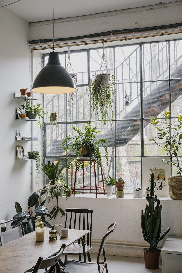 Tumblr image