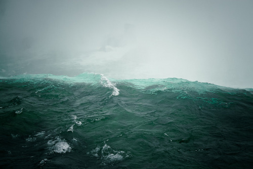 melisica:  (by onesevenone)
