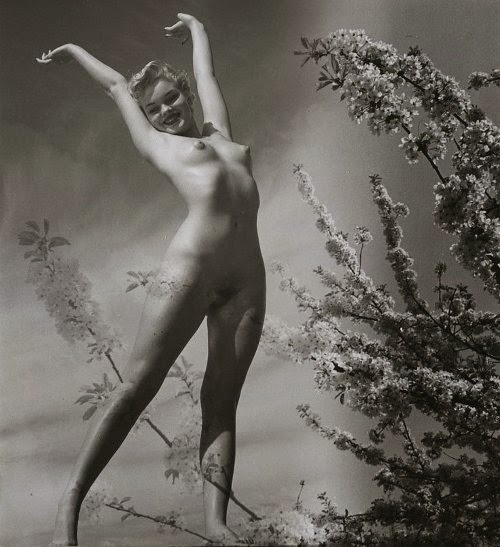 fragrantblossoms:  Andre de Dienes