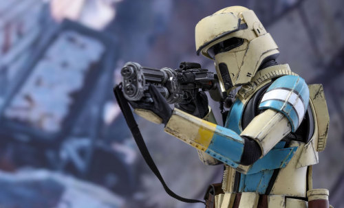 (via Star Wars Shoretrooper Sixth Scale Figure by Hot Toys | Sideshow Collectibles)