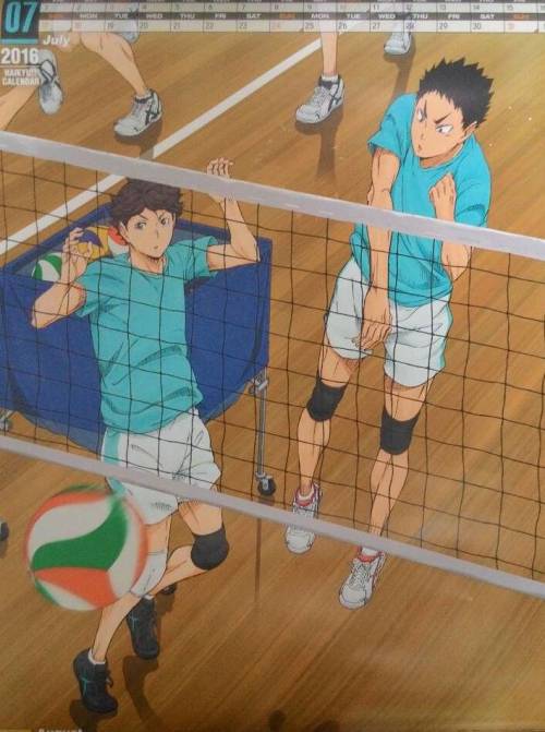 raggirare:  So I got my hands on the Haikyuu 2016 Wall Calendar today and I regret nothing. Each image is for two month (all the bottom months got cut off bc of how I had it lying on my bed). 