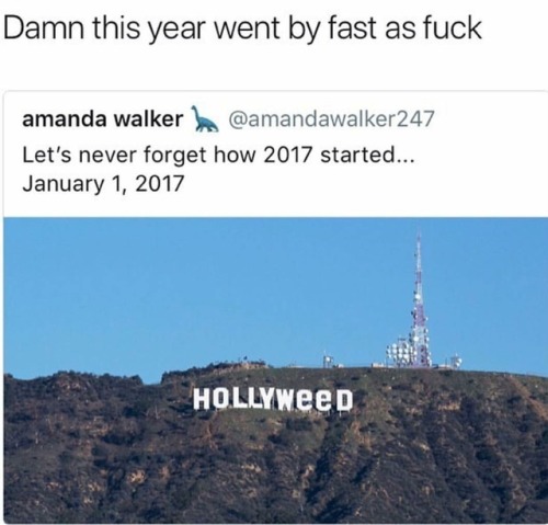 applejuicewerewolf:I feel like Hollyweed was something that happened in 2005, not 11 months ago…