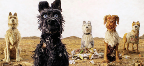 Isle of Dogs // Wes Anderson ;; favourite new films [x]