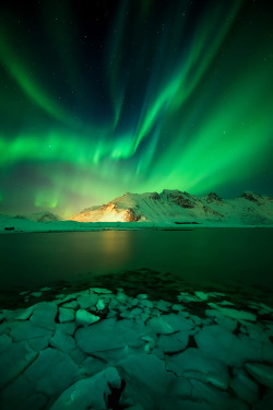 6reat-photos: February, 2019  Lofoten Islands, Norway  Night Moves  by   	Wayne Boland 	  	 						 			      