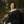 kiatris:Der Morgen Nach Der Feier(detail) by Ludwig Knaus, 1853