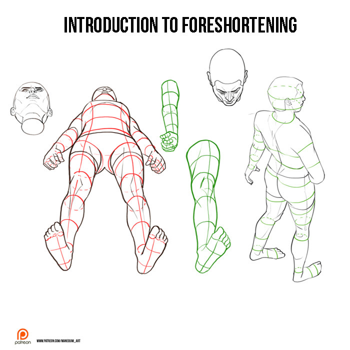 Drawing the Human Figure Perspective  Foreshortening  HubPages