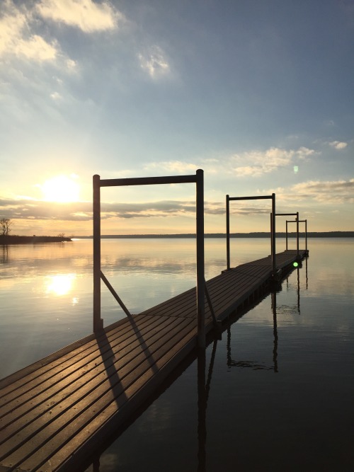 stupidsarah:if u ever feel stressed out go to a lake on a sunny winter afternoon