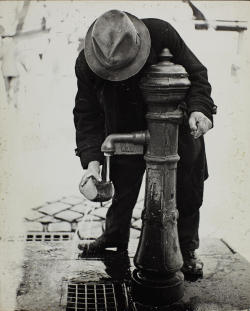 Roman Vishniac, 1938, The only way to make the bread palatable, Vienna