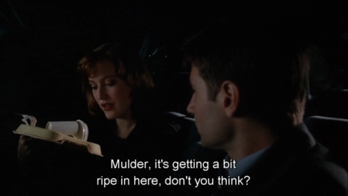 The X-Files ep 1.21 Tooms