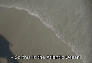 asexuallyfurry:  they found the atlantic ocean 