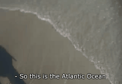asexuallyfurry:  they found the atlantic