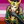 lesbian-loki:I am fluent