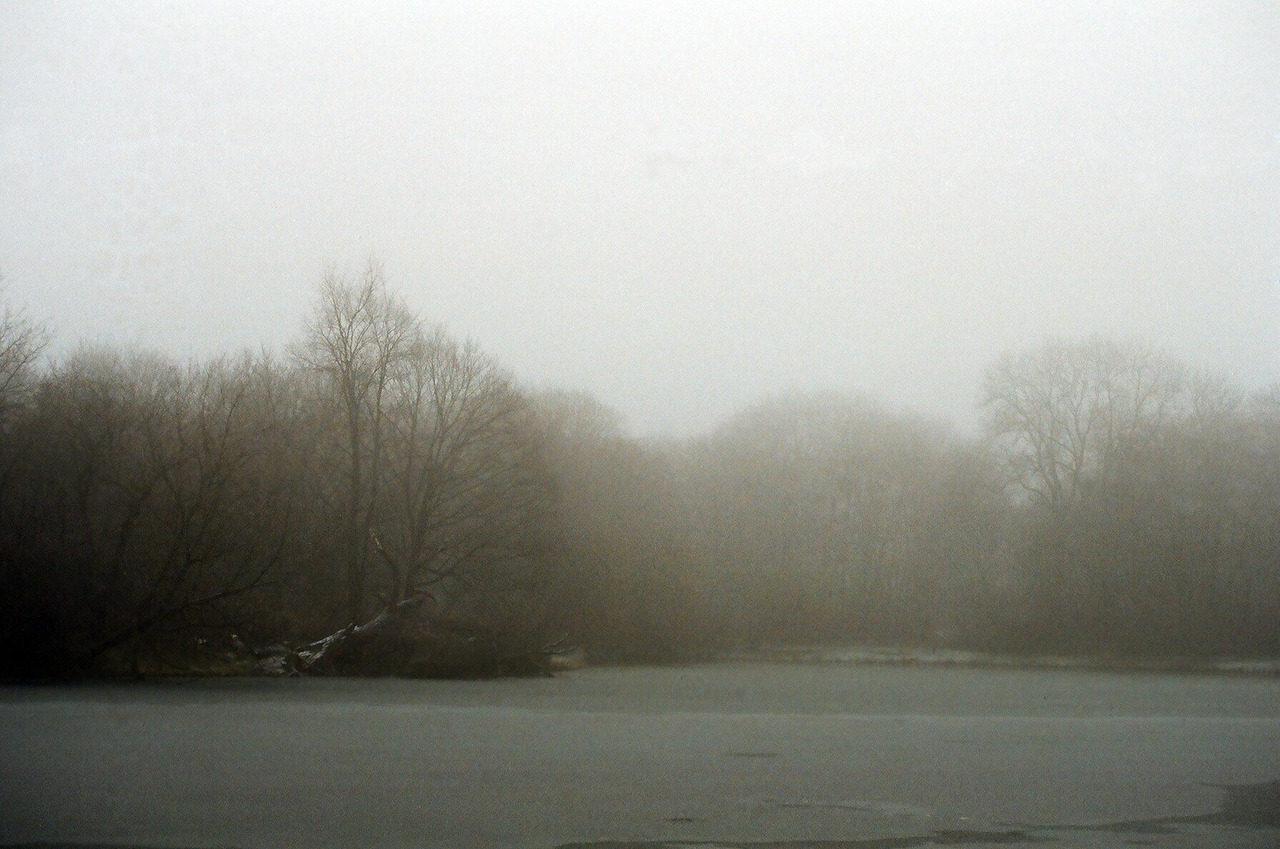 zarianka:.