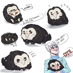 tuh:  Gabe can turn into a soft and cuddly hamster/owl shadow thing and he’s really fat and cute.