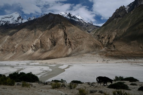 On our second day of hiking the landscape began to change. The water grew in prominence and the grou