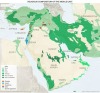 Middle East religions