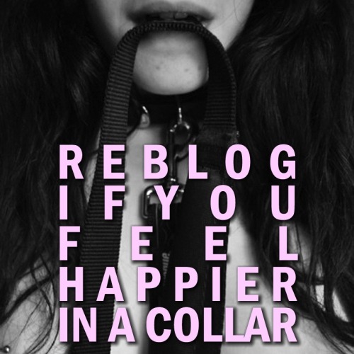 mastersir: I am posting this because I love women who feel happier in a collar. –Master Remus