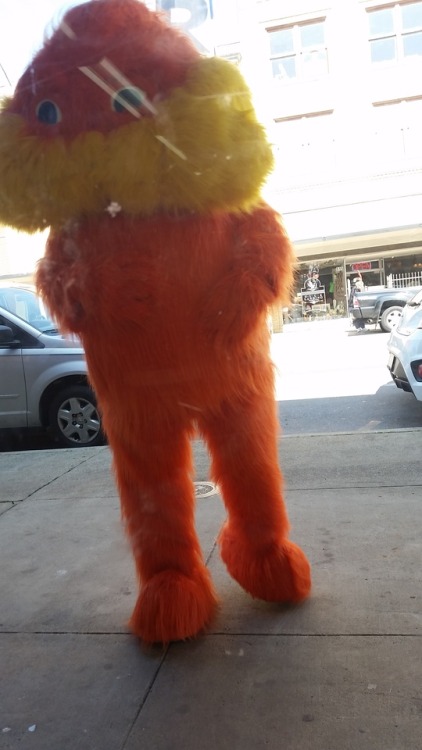 passionpeachy:cat-pun:HELP IM SITTING AT THE BARBERSHOP AND THE LORAX NOTICED ME TAKING PICSTop 10 P