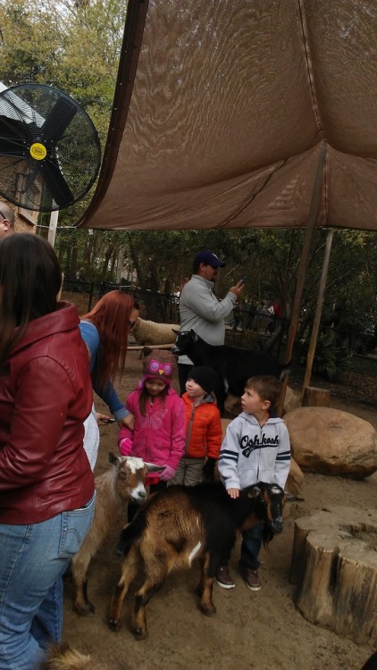 Just some real fun times at the zoo