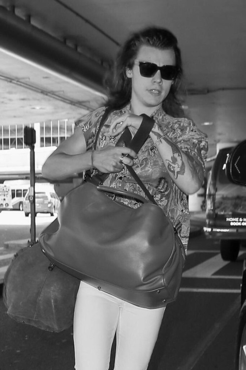 Harry arriving in LA (3.7.15)