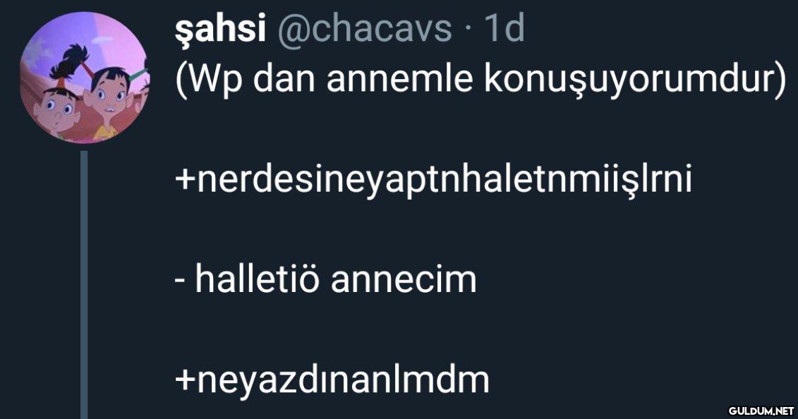 şahsi @chacavs. 1d (Wp dan...