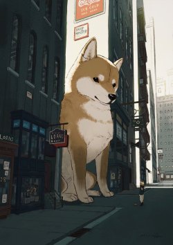 suidoukannoharetu:大きな柴犬を見つけた