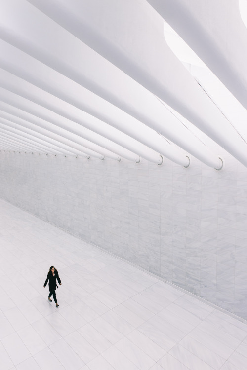 Solitude in the World Trade Center.