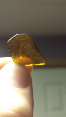 Dabbyhippiemusic710:  Typical Dabby Day
