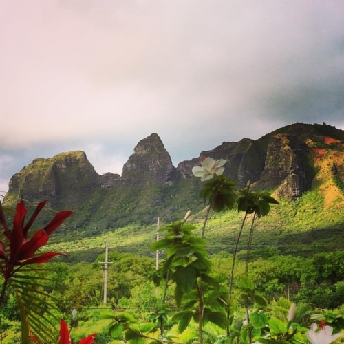 Good morning, sunshine! #kauai #kalalea #mountain #hawaii #kauaiiswhy