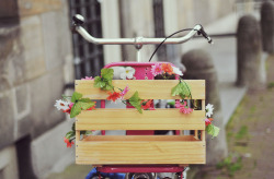 eiimeon:Flowery bicycles in Amsterdam -