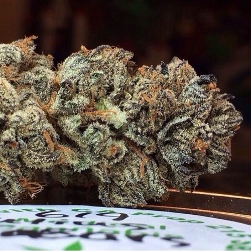 marihuanalegal:  weedstache310:  Pic From @the420treehouse #the420treehouse… http://ift.tt/1cLtchZ