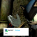 sonic-text-posts: