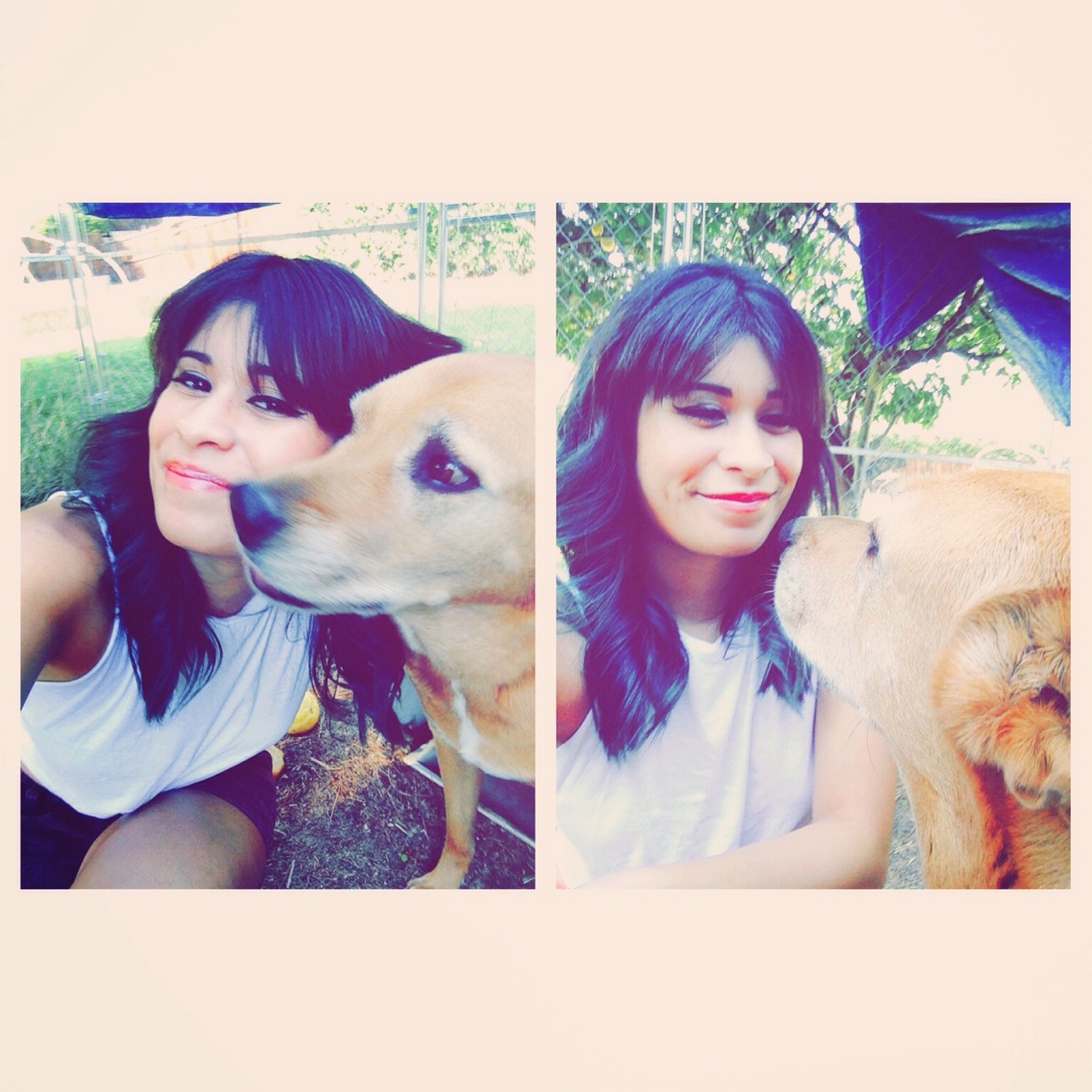 El perro, el perro es mi corazón
