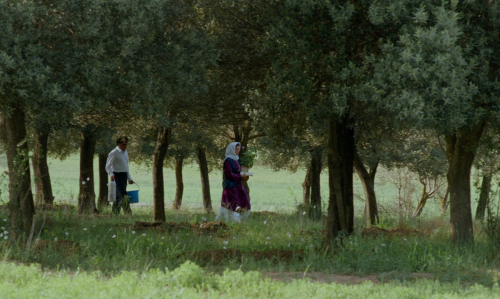 nouvellevaguefr:Through the Olive Trees, 1994