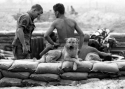 peerintothepast:A dog stands guard at Patrol