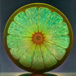 digg:  wnycradiolab:  unicorn-meat-is-too-mainstream:  Dennis Wojtkiewicz is best known for his exploration of the “sensitive nature of time” in his large-scale oil paintings of fruits and flowers.   Breakfast.  We’ll take them all, please. 