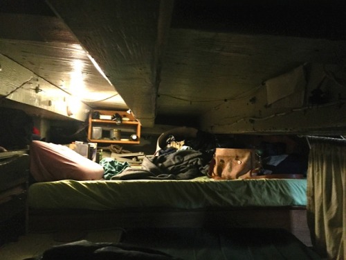 charminglyantiquated: for anyone curious about the living conditions on tall ships, here’s som