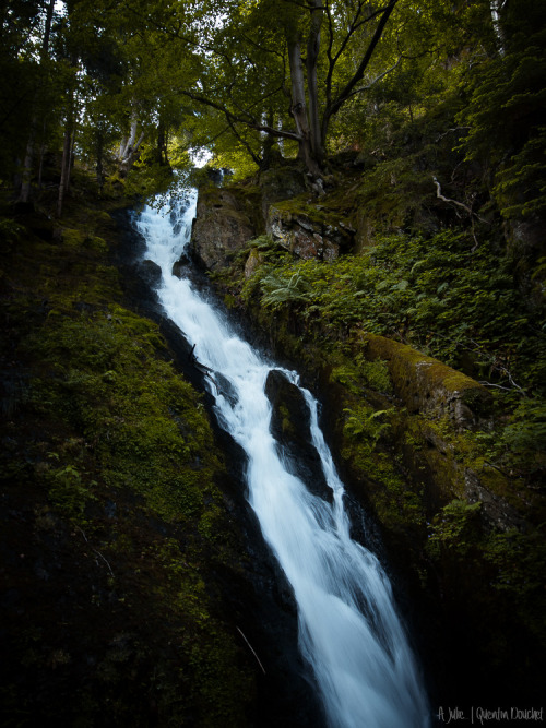 quentindouchetphotographie: Cascade. (Parc naturel régional du Pilat - Juin 2020). © Que